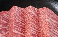 Hướng Dẫn Chế Biến Thịt Bò Nangoku Wagyu Ngon Chuẩn Vị – Không Thể Thất Bại!
